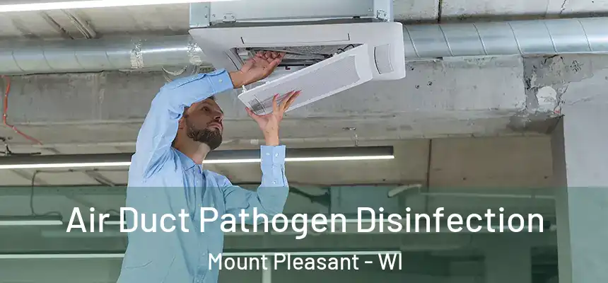  Air Duct Pathogen Disinfection Mount Pleasant - WI