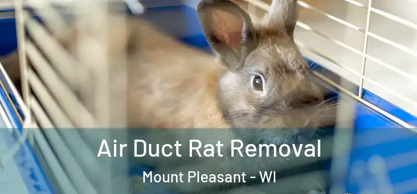 Air Duct Rat Removal Mount Pleasant - WI