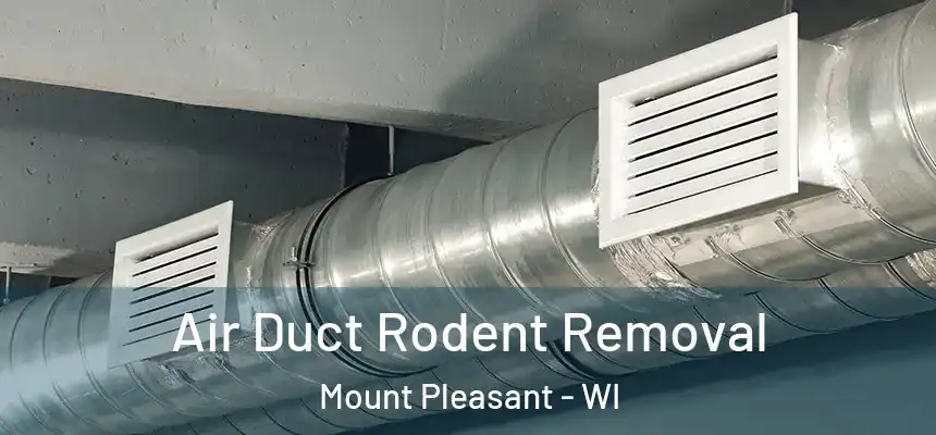  Air Duct Rodent Removal Mount Pleasant - WI