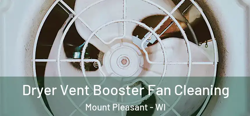  Dryer Vent Booster Fan Cleaning Mount Pleasant - WI