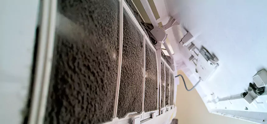 Preventive Air Duct Bacteria Removal in Mount Pleasant