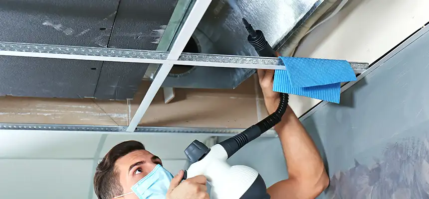 Our Air Duct Rodent Removal Services in Mount Pleasant, WI