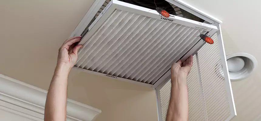 Our Insect Removal from Air Ducts Services in Mount Pleasant, WI