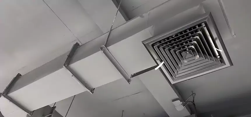 Our Pest Removal From Ducts Services in Mount Pleasant, WI