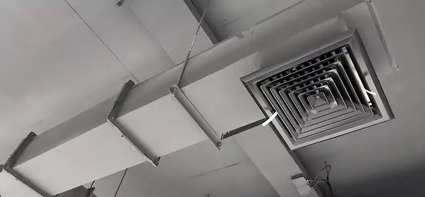 Our Rodent Droppings In Vents Services in Mount Pleasant, WI