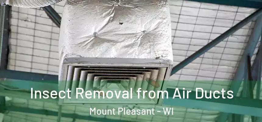  Insect Removal from Air Ducts Mount Pleasant - WI