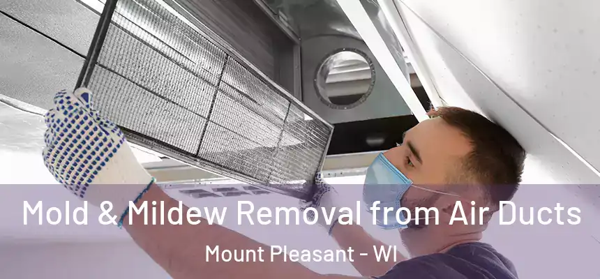  Mold & Mildew Removal from Air Ducts Mount Pleasant - WI