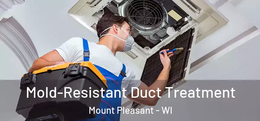 Mold-Resistant Duct Treatment Mount Pleasant - WI