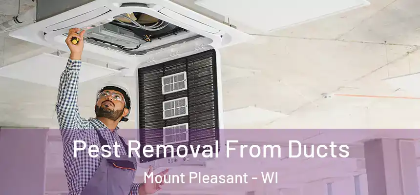 Pest Removal From Ducts Mount Pleasant - WI