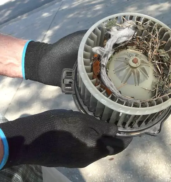 About Air Duct Mice Removal in Mount Pleasant, WI