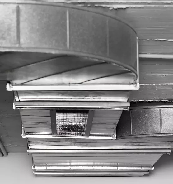 Professional Air Duct Pet Hair Removal in Mount Pleasant, WI