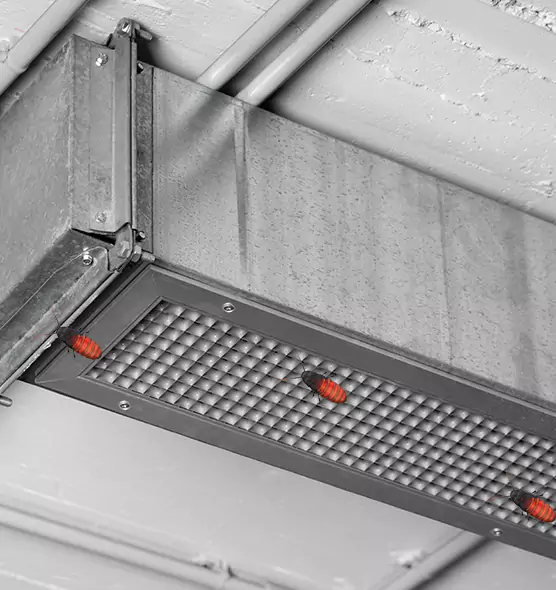 Affordable Insect Removal from Air Ducts in Mount Pleasant, WI