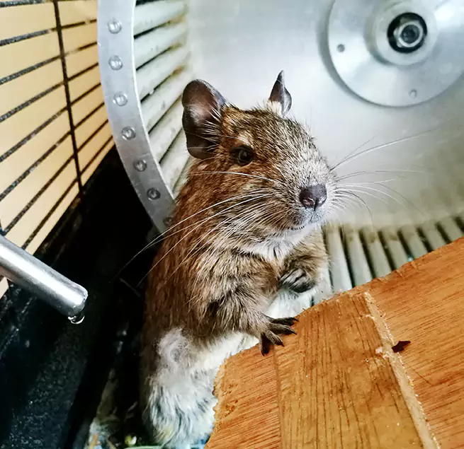 Why Homeowners & Businesses Trust Us Mount Pleasant, WI?