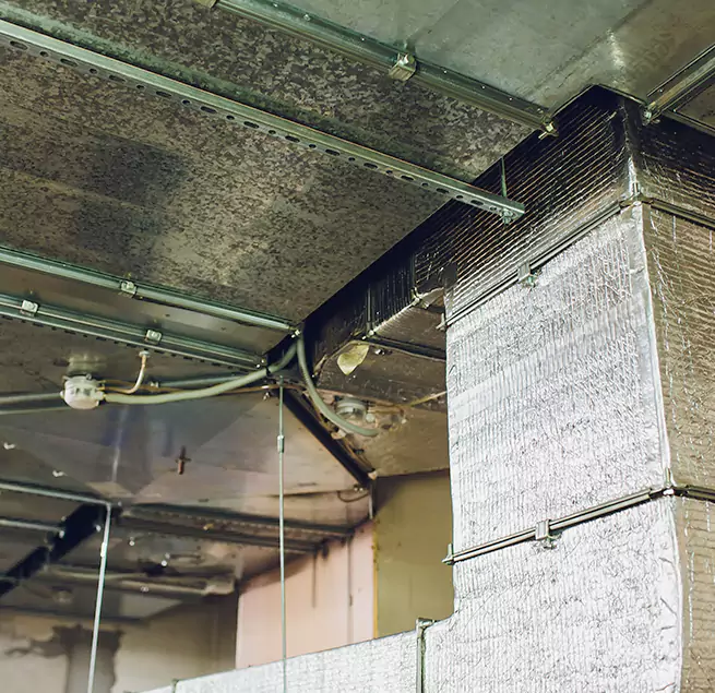 Why Homeowners & Businesses Trust Us in Mount Pleasant, WI?